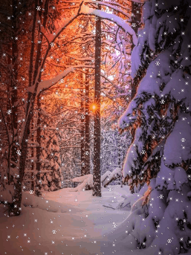 Magical Snowfall Forest — free photo effect | MyPicEffects