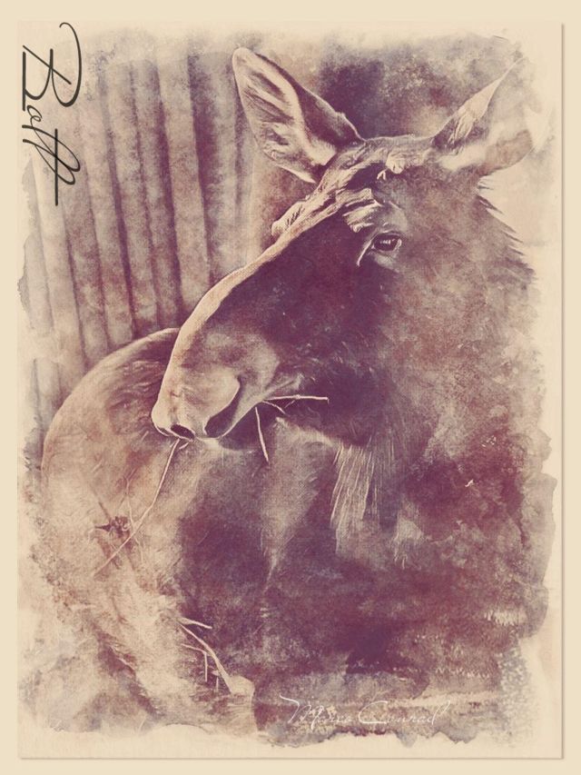 Vintage Sepia Sketch Painting — free photo effect | MyPicEffects